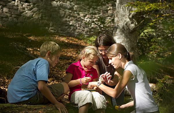 FF - geopark