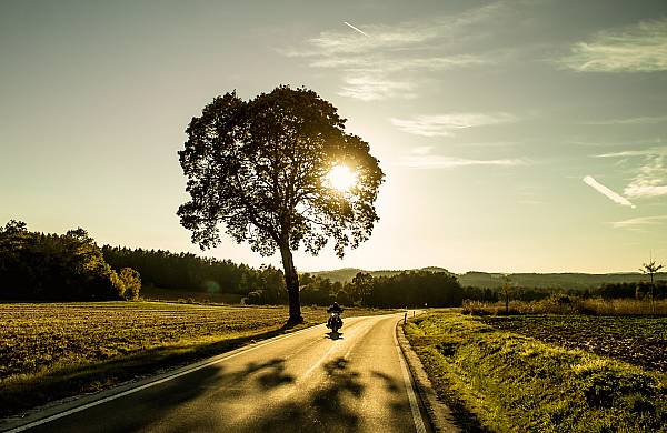 Bikers at FFN